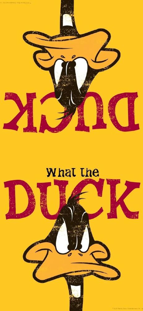 【211006】daffy鸭