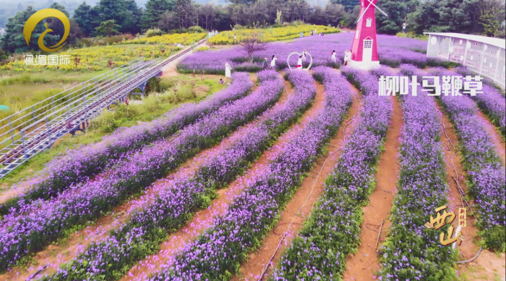 名花谷生态园地址图片