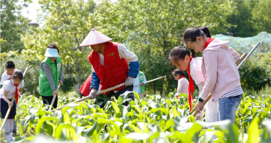 国务院鼓励儿童参与劳动实践加强中小学生研学实践教育基地等建设