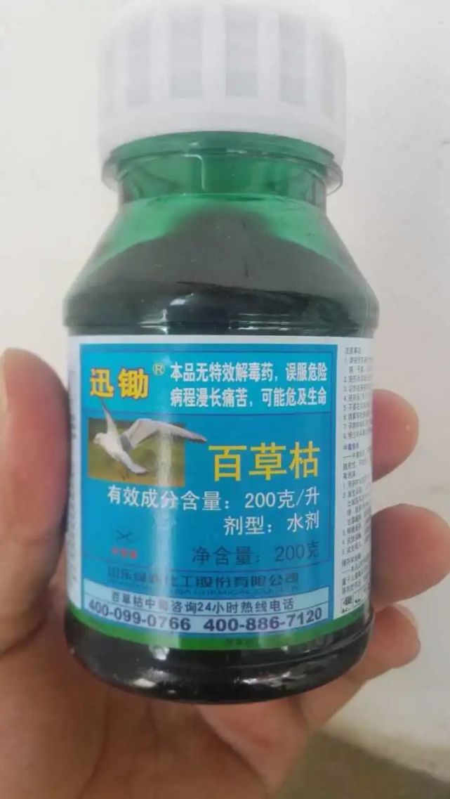 13岁女孩喝百草枯病情恶化:这款几乎无解的农药,到底多可怕?