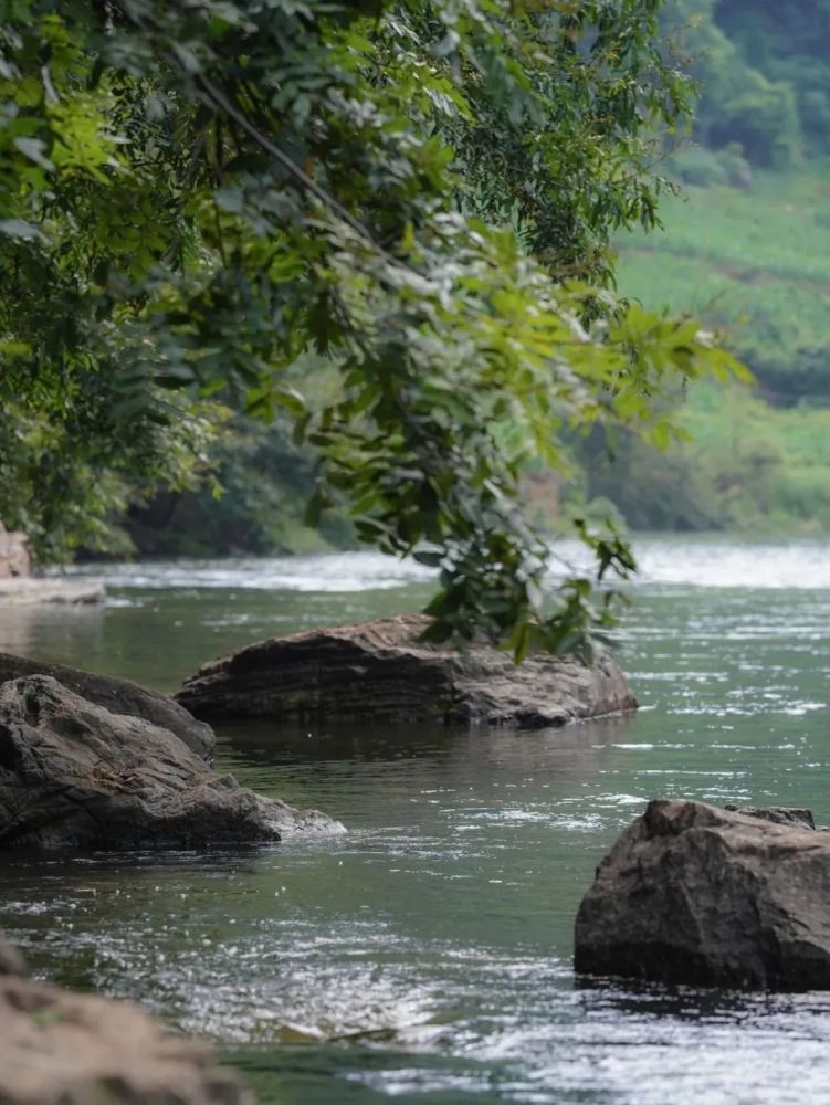 志愿者招募在勐邦水库一起逃离城市做最会玩的拾荒者