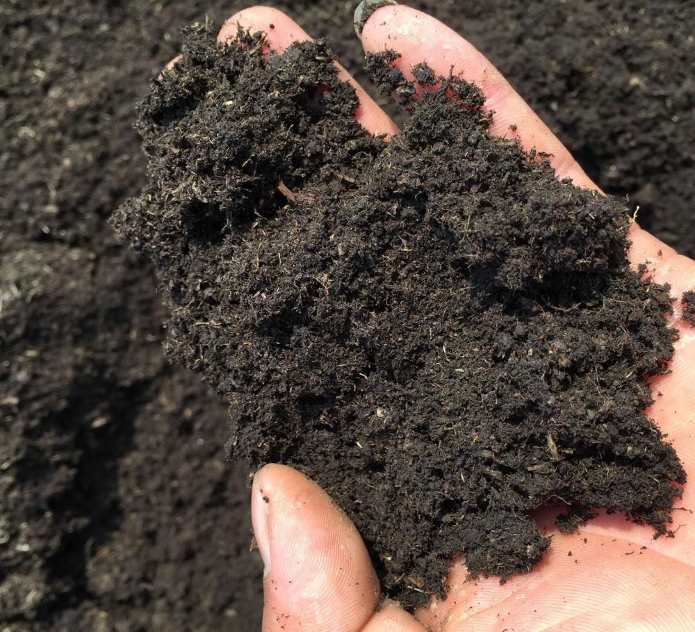 泥炭土是怎么来的弄清原理后自己在家做用来养花超有营养
