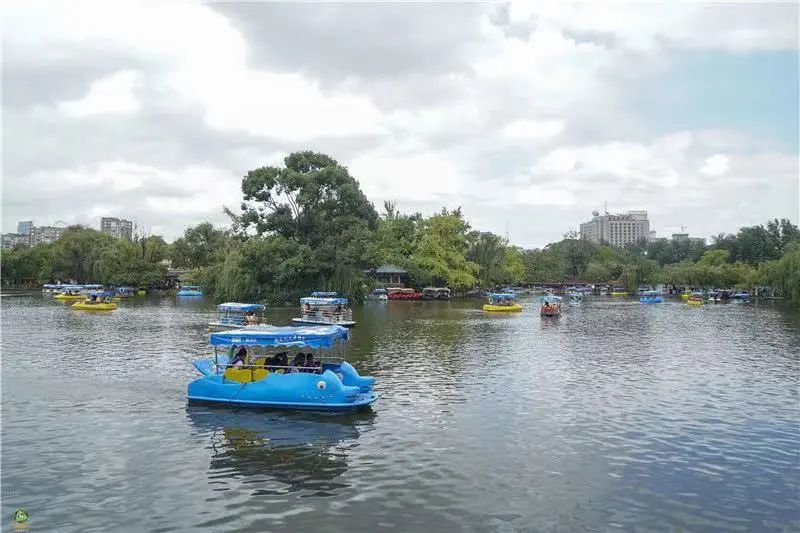 圖集國慶遊昆明翠湖公園遊客火爆