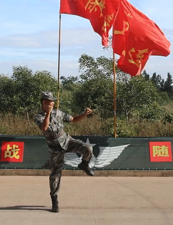 兵哥標準版軍體拳發佈