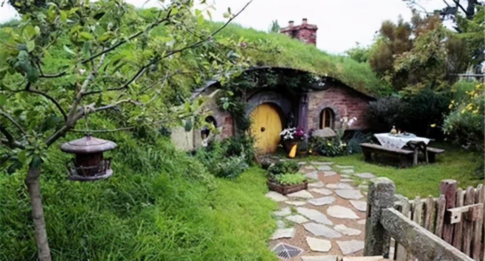 四川矮人村村民5岁便停止长高并不是侏儒症原因在一口古井