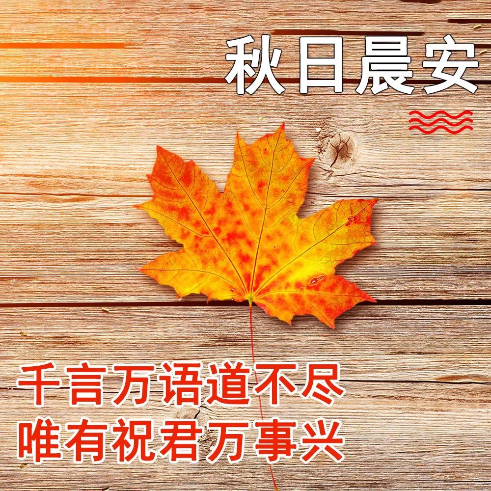 秋天的早晨问候句子超温馨早上好幸福祝福语短信句子