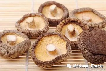 几款食用菌让全身血液流通起来!不怕堵!_腾讯新闻