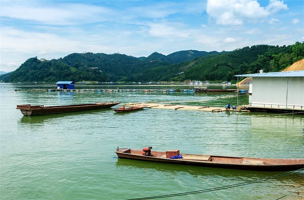 【新闻纪实】津门网张小村:渔港人家