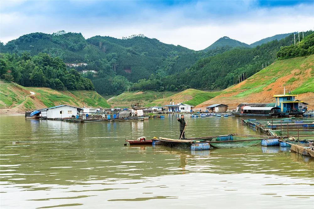 新闻纪实津门网张小村渔港人家