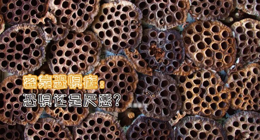 密集恐惧症:恐惧还是厌恶?