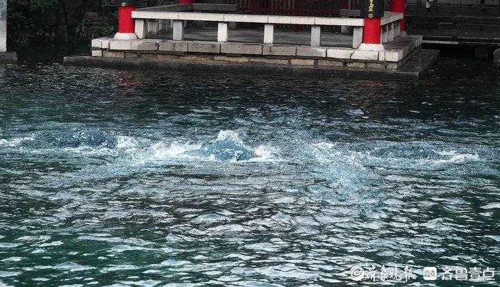 04米!趵突泉地下水位连涨19天,创56年来最高水位