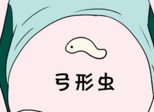 注意养宠环境的卫生环境,这也是滋生弓形虫的关键所在.