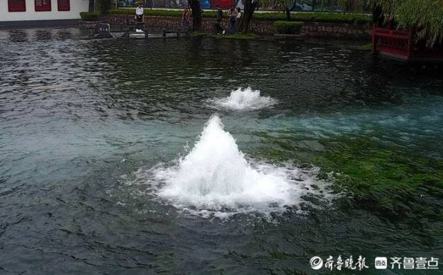 航拍济南喷泉第一高最大泉眼喷出近一米高水柱