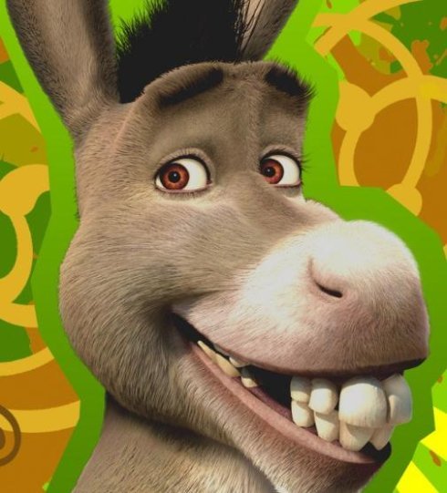 牧羊犬见得多了,牧羊驴你见过吗?