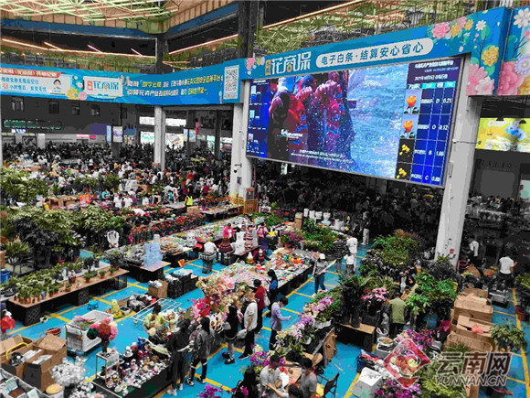 昆明斗南花市争做全球最具影响力的花卉交易中心