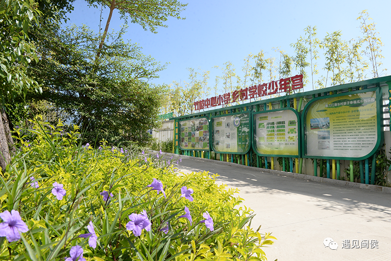 竹韵校园吹起文明新风闽侯这所百年老校处处彰显竹文化