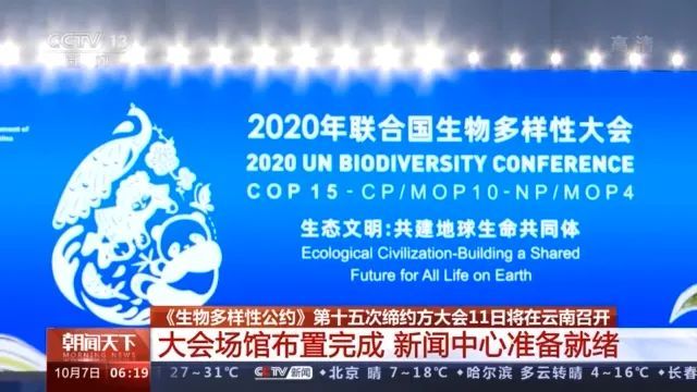 央视聚焦cop15!目前大会场馆布置完成,将打造低碳高效会议