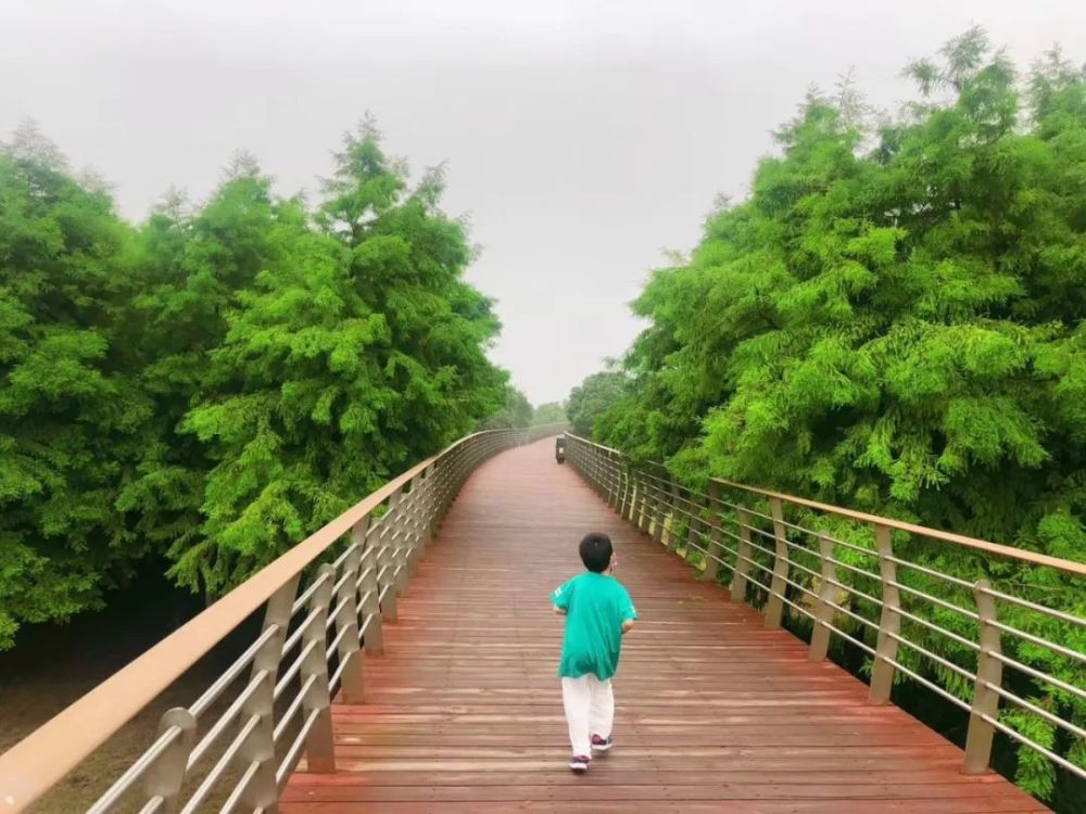 有的河道打造景觀帶,最具特色的是這裡有一條縱貫整個公園的架空步道