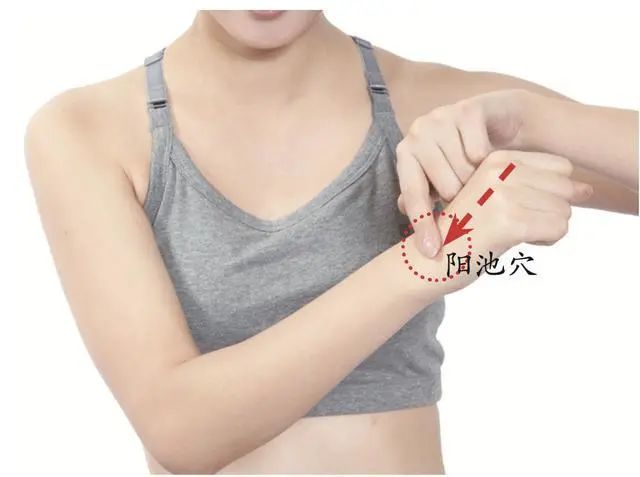 阳池穴位置:而阳池穴,有生发阳气,沟通表里的作用.阳,阳气也.