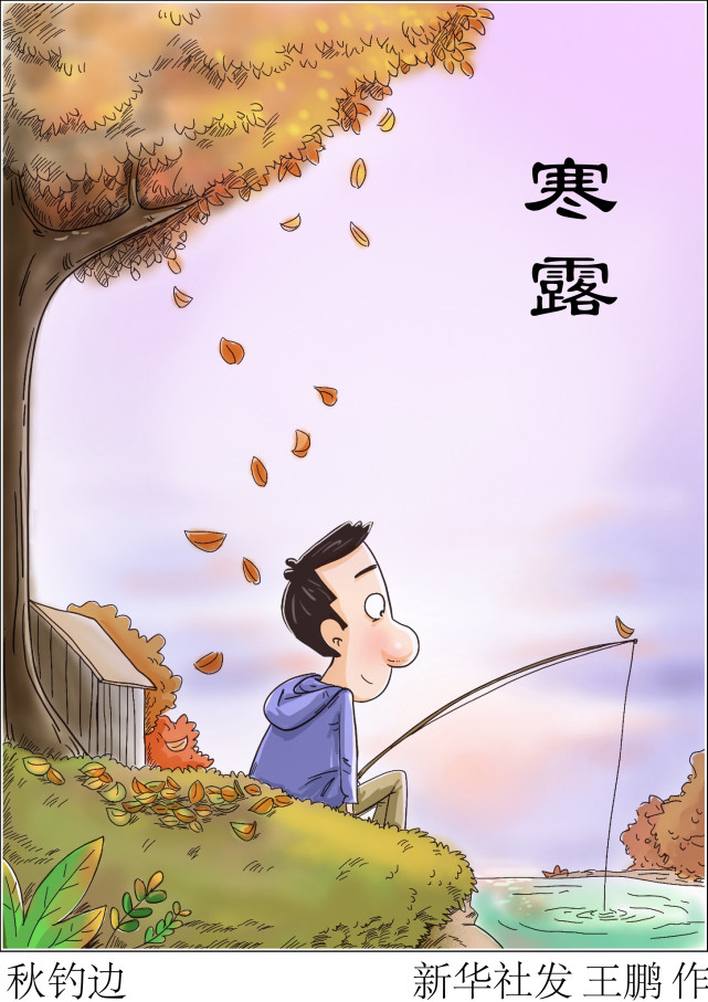 图表漫画二十四节气寒露秋钓边