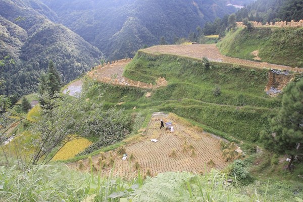 见识了贵州山路的窄小陡与弯