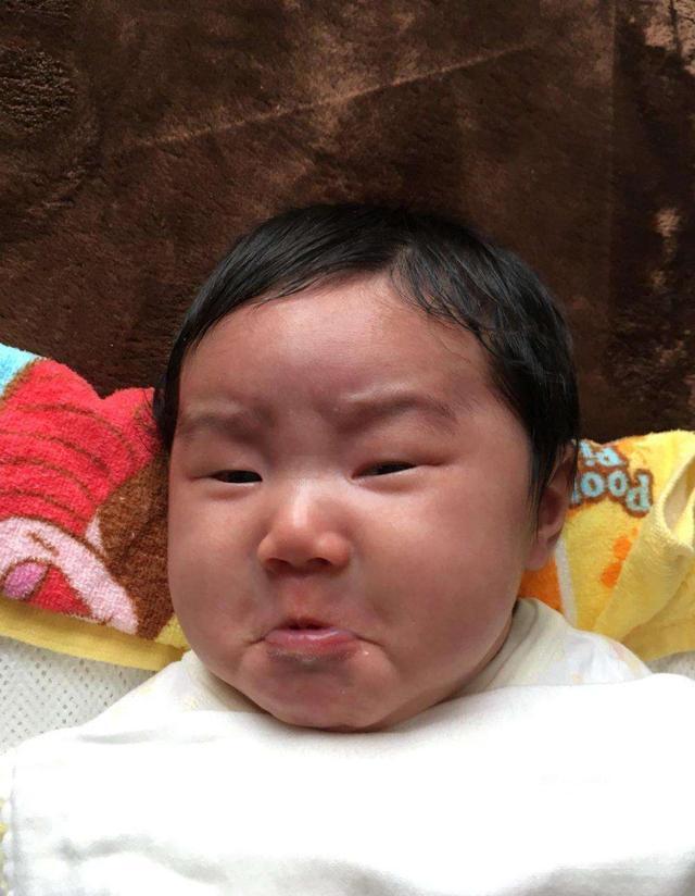 国产黑宝宝火了爸爸看着就发愁这是亲生的吗