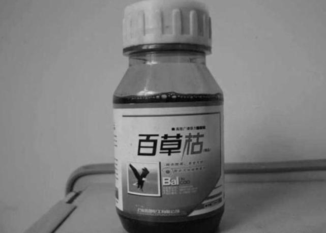 一场直播式的死亡,喝下百草枯的女孩对父母们的警示是什么?_腾讯网
