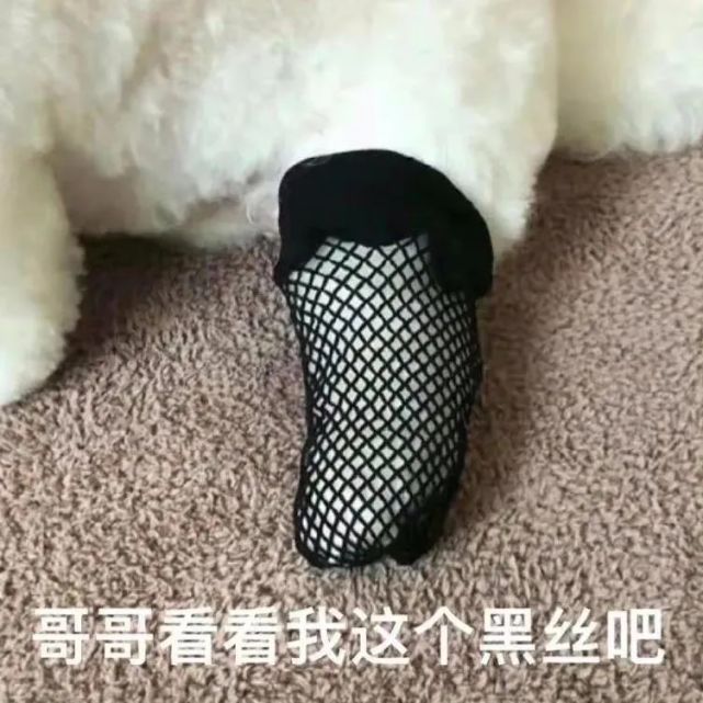 表情包想破我防是吧