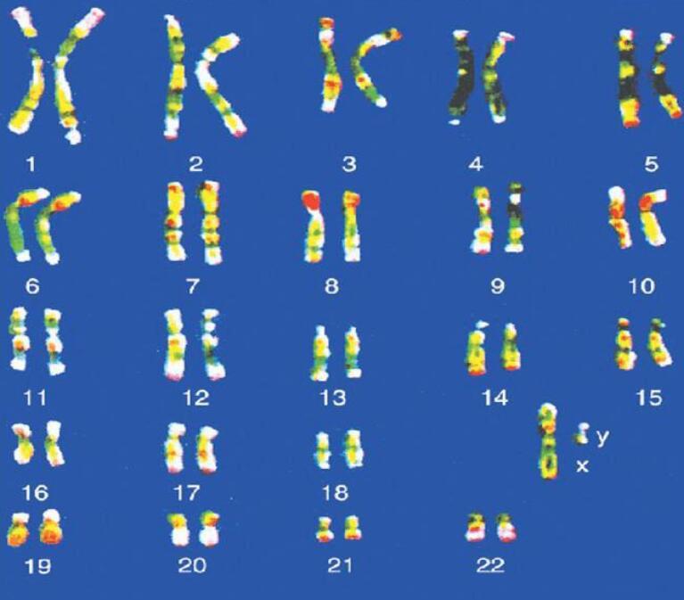 这个能永生不死的生物,给人类的"永生"留下了什么神奇的密码?