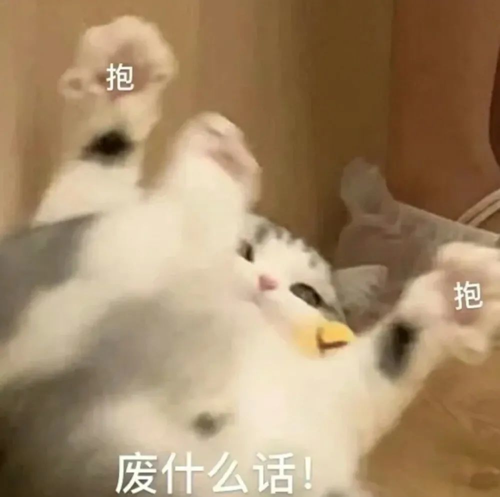 猫猫表情包凑合过呗