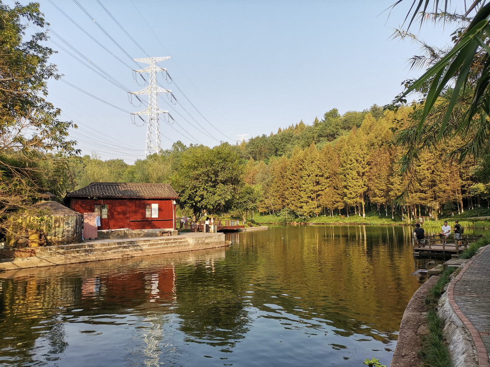 重庆园博园是我国第八届国际园林博览会的会址,公园比较大,战地3300亩