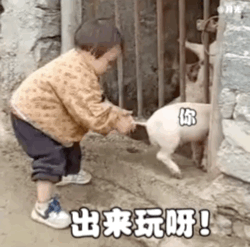 641