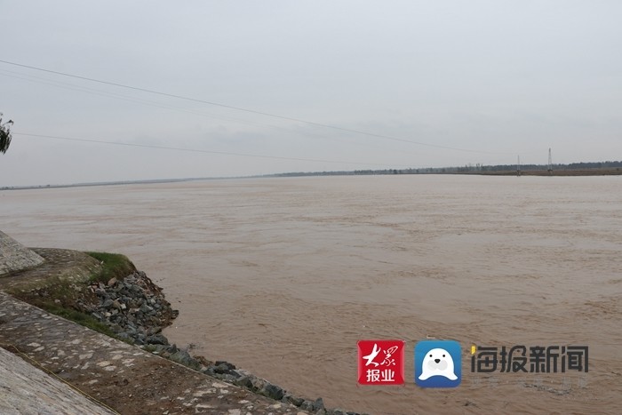 直击现场!黄河菏泽东明段持续高水位平稳无险情
