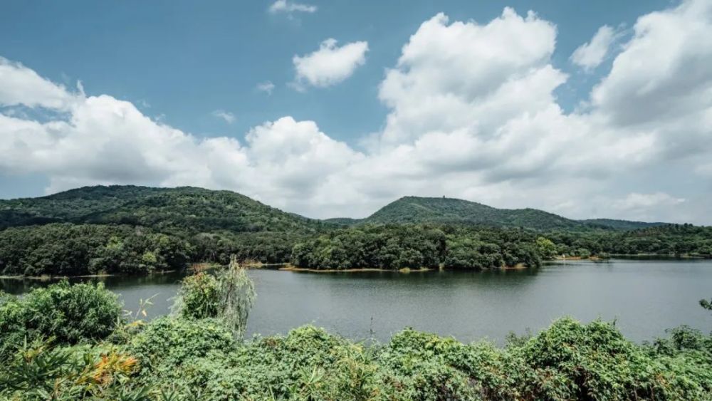南京旅游象山湖公园沉入自然里