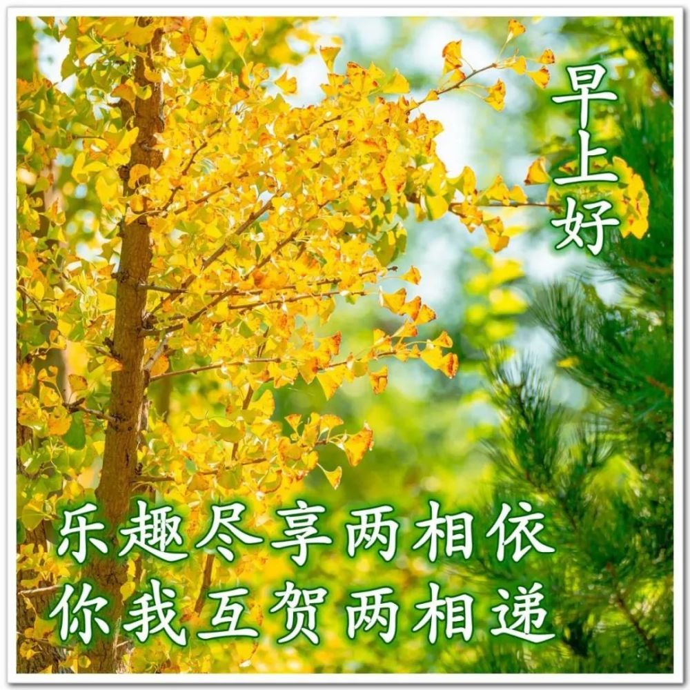 創意唯美清晨早上好問候祝福圖片大全暖心的早安祝福寄語