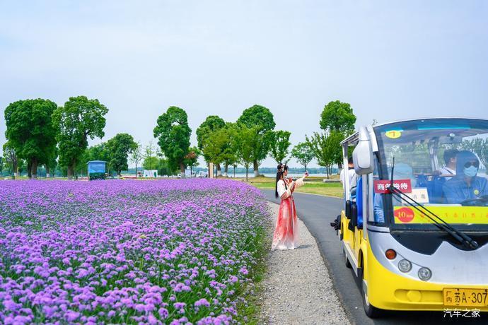 慢遊高淳荷你有約固城湖水慢城二日遊攻略