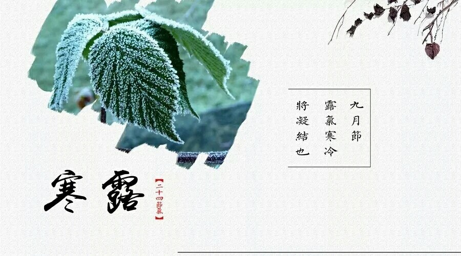 在二十四節氣中,寒露是反映氣象變化極為重要的一個節點.