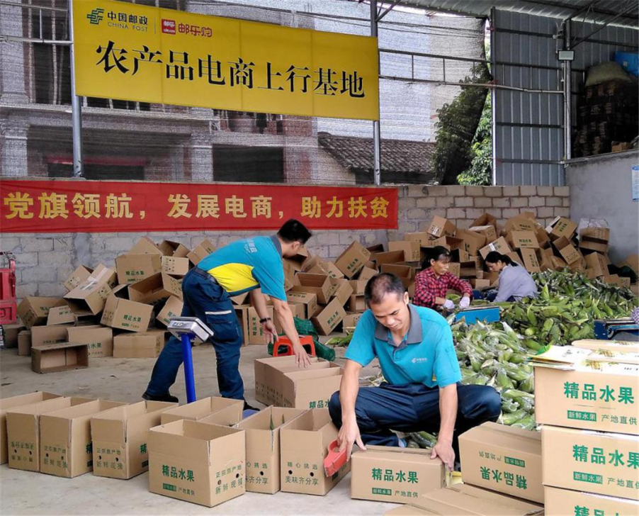 县乡村快递配送有妙招!邮政打通快递进村"最后一公里"