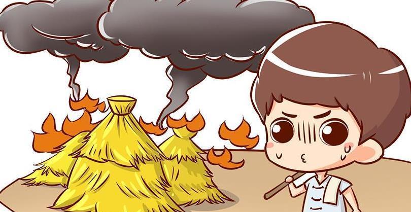 浙江一老人烧稻草被罚500元,老人不服:赔偿我误工费4400元_腾讯新闻