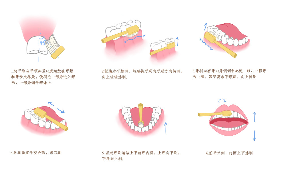 正确刷牙的姿势图片