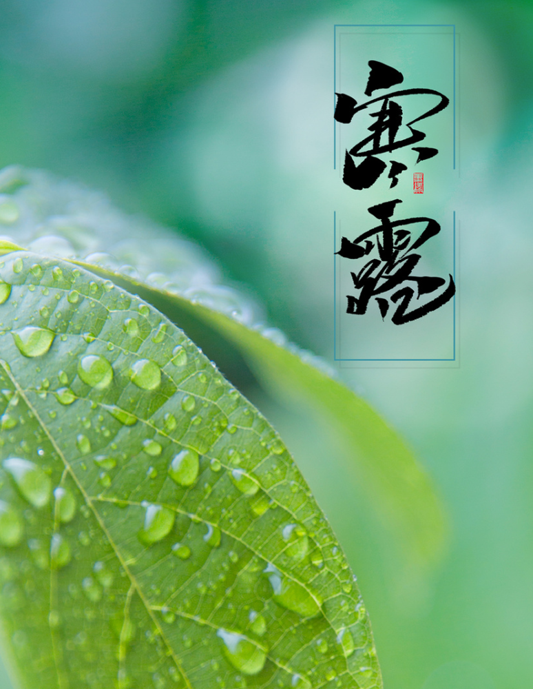 露气寒冷你了解寒露吗寒露应该怎么养生