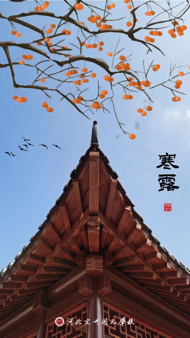 今日寒露袅袅凉风动寒露秋更浓