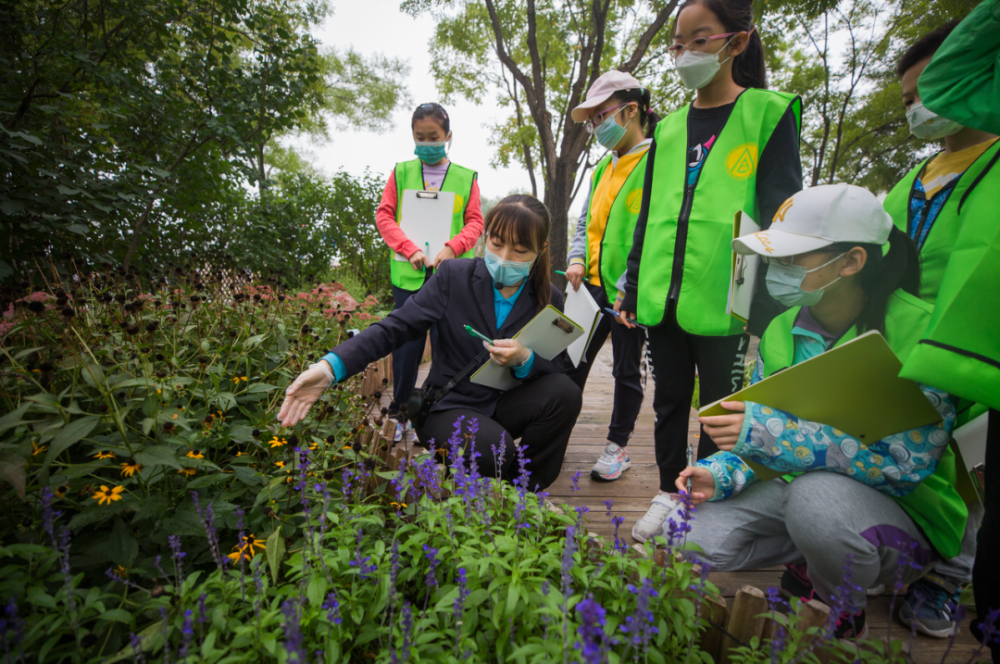 公益研学 植物部落—认识园林植物群落的结构