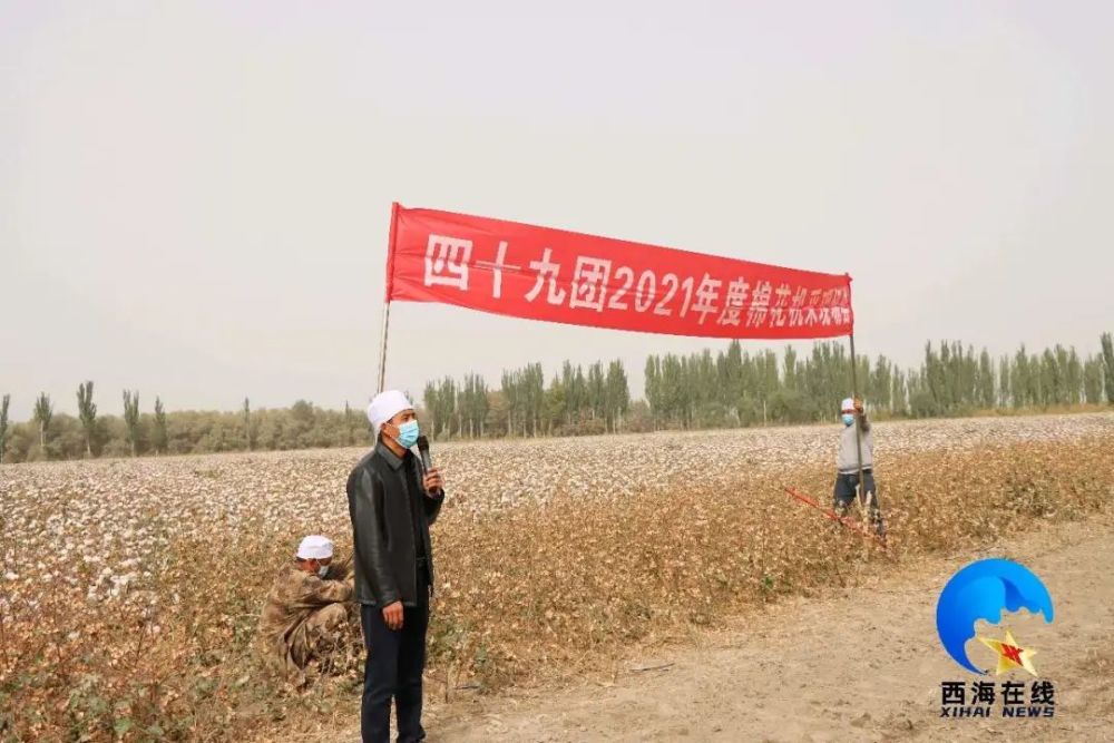 49团人口_团镇要闻丨四十九团召开2021年机采棉现场会