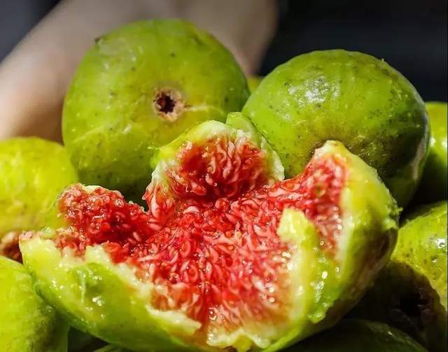 作为中国国家地理标志产品,威海无花果栽植历史可追溯到1898年.