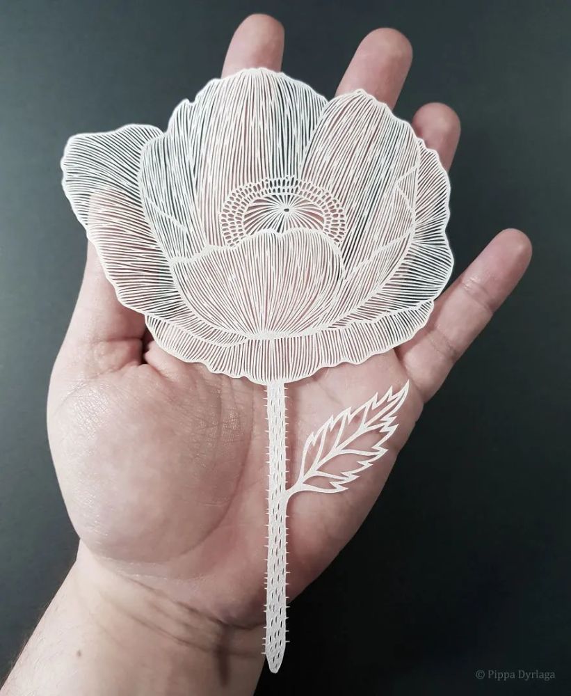 薄如蝉翼精美绝伦这样的纸雕花卉比鲜花还受欢迎