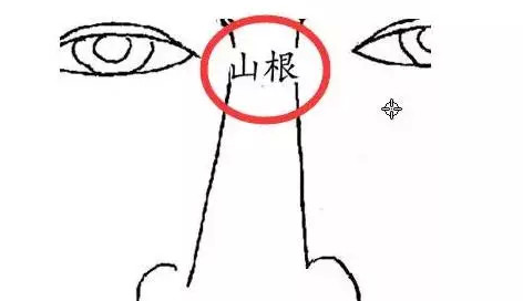从鼻子看来财的模式与福气 腾讯新闻