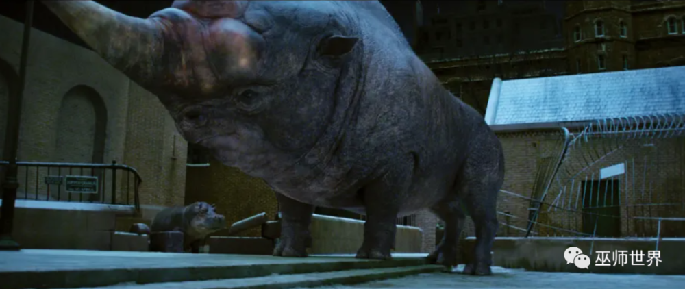 虽然我们觉得纽特跳的求偶舞很有趣,但当雅各布不小心毒角兽蟒麝香洒