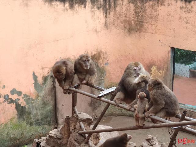 四川一動物園