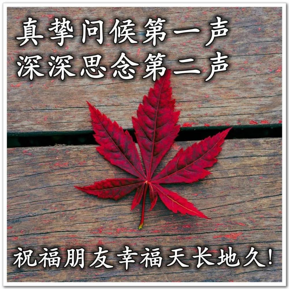 創意唯美清晨早上好問候祝福圖片大全暖心的早安祝福寄語